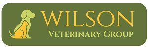 Wilson Logo_3